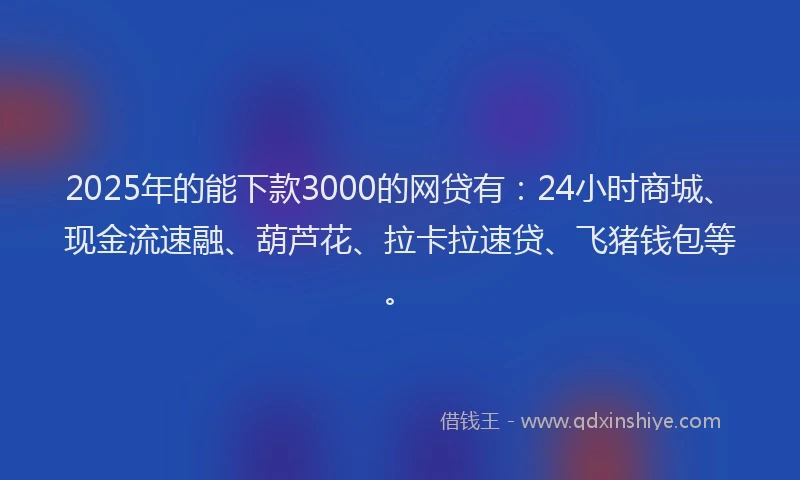 2025年的能下款3000的网贷有：24小时商城、现金流速融、葫芦花、拉卡拉速贷、飞猪钱包等。