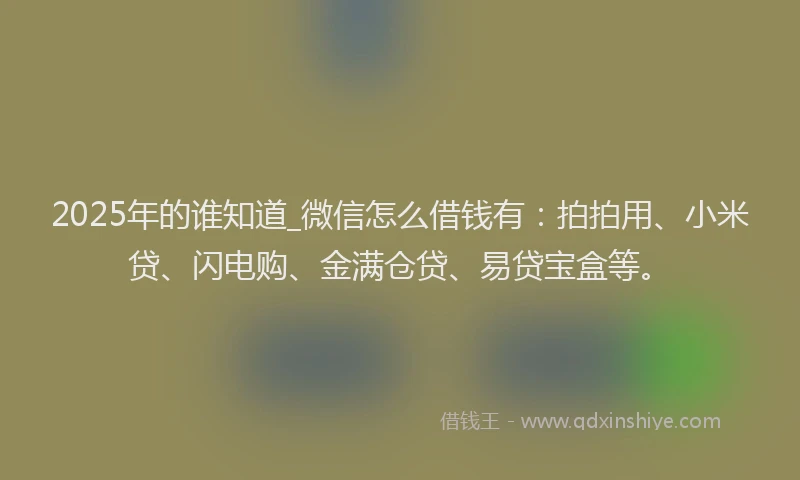 2025年的谁知道_微信怎么借钱有：拍拍用、小米贷、闪电购、金满仓贷、易贷宝盒等。