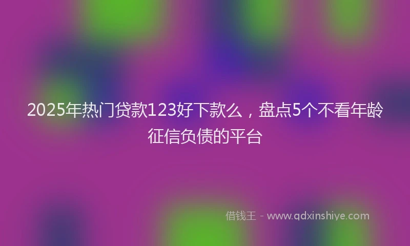 2025年热门贷款123好下款么，盘点5个不看年龄征信负债的平台