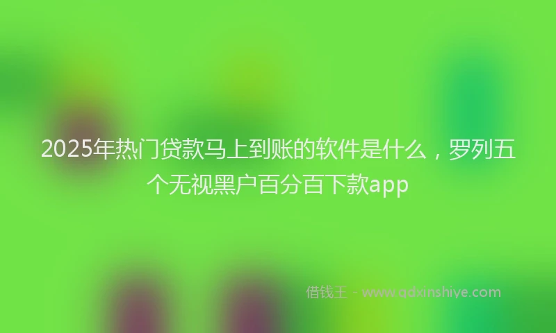 2025年热门贷款马上到账的软件是什么，罗列五个无视黑户百分百下款app