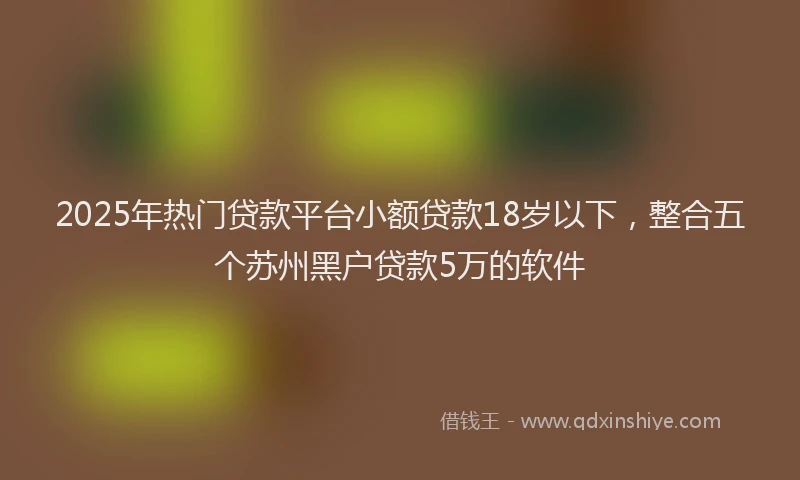 2025年热门贷款平台小额贷款18岁以下，整合五个苏州黑户贷款5万的软件