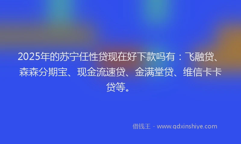 2025年的苏宁任性贷现在好下款吗有：飞融贷、森森分期宝、现金流速贷、金满堂贷、维信卡卡贷等。