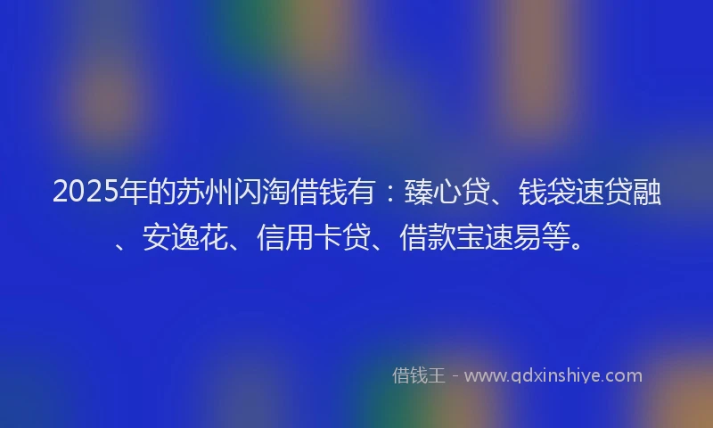2025年的苏州闪淘借钱有：臻心贷、钱袋速贷融、安逸花、信用卡贷、借款宝速易等。