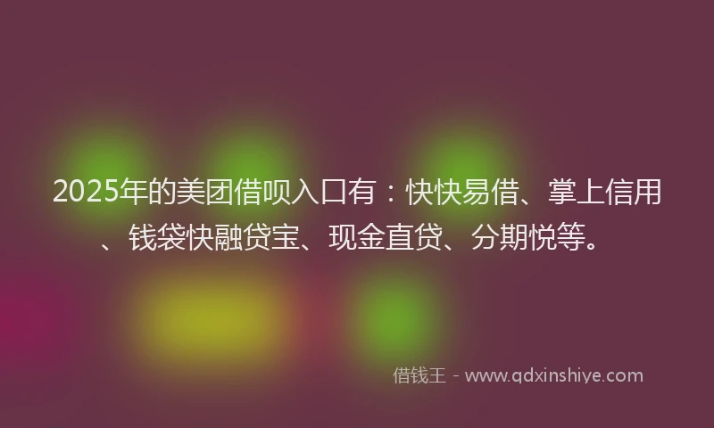 2025年的美团借呗入口有：快快易借、掌上信用、钱袋快融贷宝、现金直贷、分期悦等。