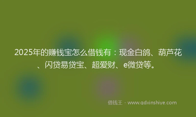 2025年的赚钱宝怎么借钱有：现金白鸽、葫芦花、闪贷易贷宝、超爱财、e微贷等。