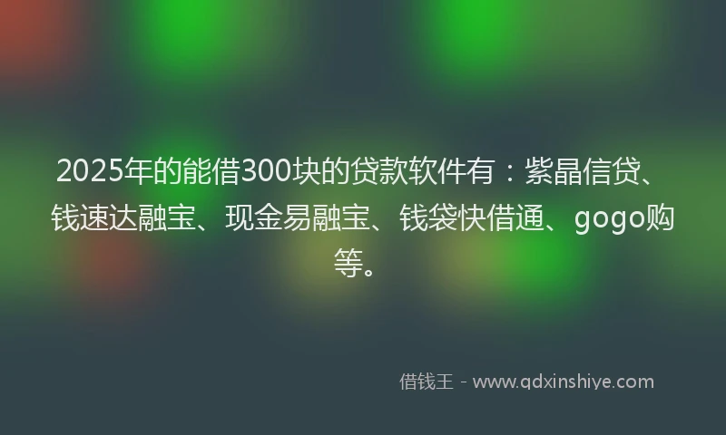 2025年的能借300块的贷款软件有：紫晶信贷、钱速达融宝、现金易融宝、钱袋快借通、gogo购等。