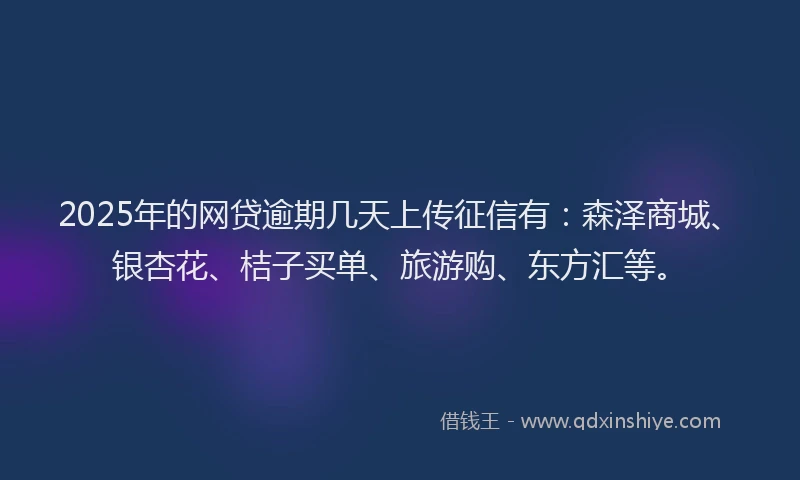 2025年的网贷逾期几天上传征信有：森泽商城、银杏花、桔子买单、旅游购、东方汇等。