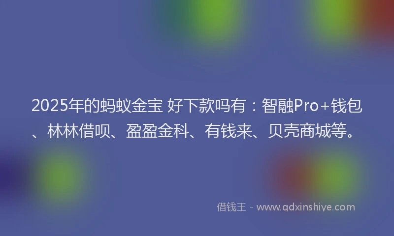 2025年的蚂蚁金宝 好下款吗有：智融Pro+钱包、林林借呗、盈盈金科、有钱来、贝壳商城等。