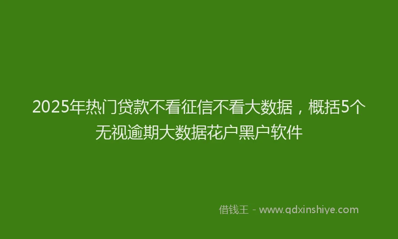 2025年热门贷款不看征信不看大数据，概括5个无视逾期大数据花户黑户软件