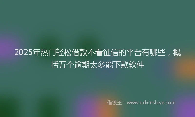 2025年热门轻松借款不看征信的平台有哪些，概括五个逾期太多能下款软件