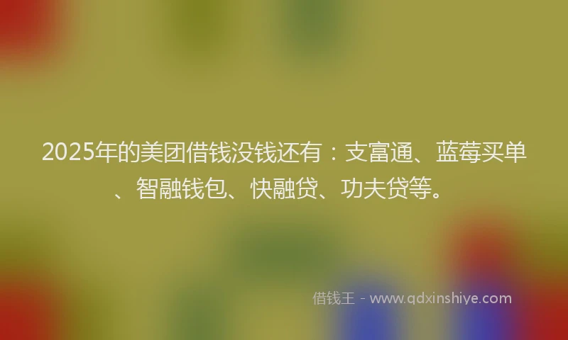 2025年的美团借钱没钱还有：支富通、蓝莓买单、智融钱包、快融贷、功夫贷等。