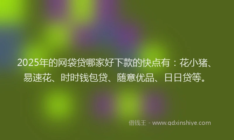 2025年的网袋贷哪家好下款的快点有：花小猪、易速花、时时钱包贷、随意优品、日日贷等。