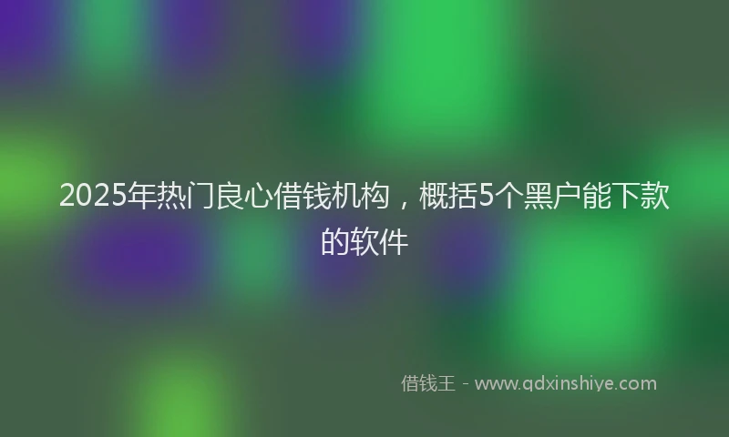 2025年热门良心借钱机构，概括5个黑户能下款的软件