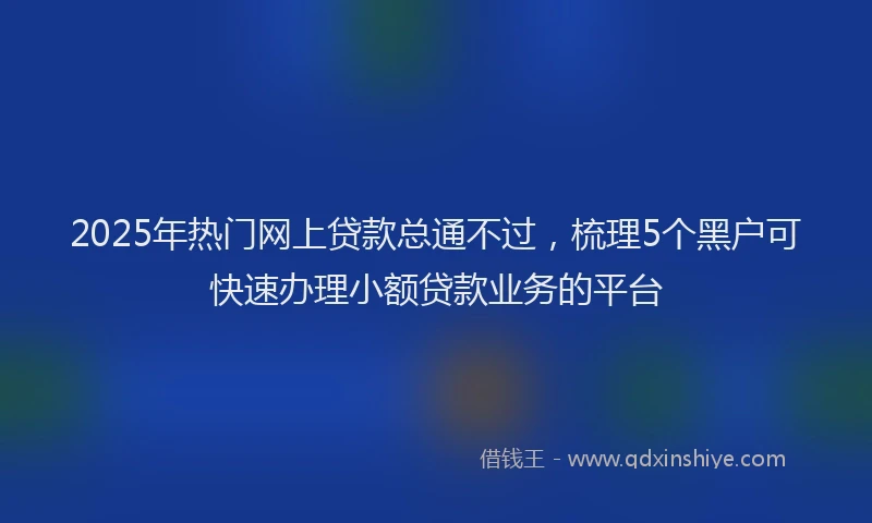 2025年热门网上贷款总通不过，梳理5个黑户可快速办理小额贷款业务的平台