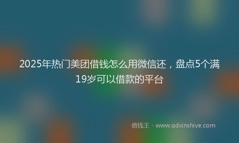 2025年热门美团借钱怎么用微信还，盘点5个满19岁可以借款的平台