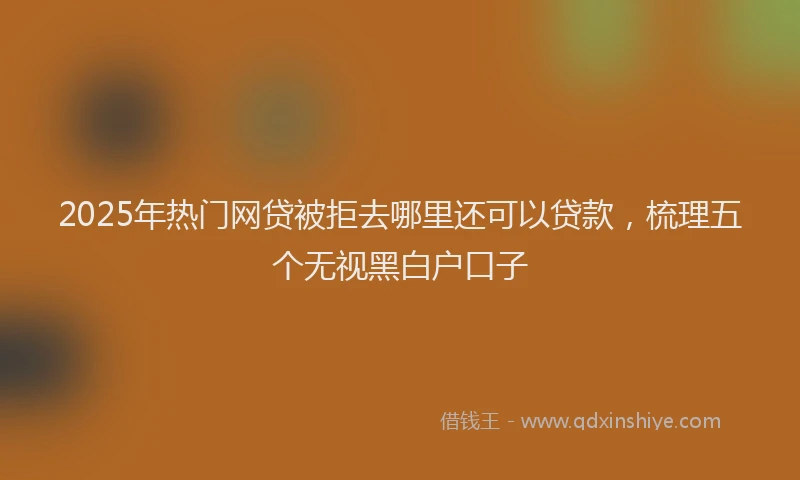 2025年热门网贷被拒去哪里还可以贷款，梳理五个无视黑白户口子