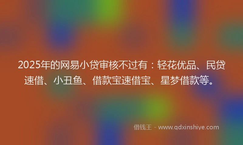2025年的网易小贷审核不过有：轻花优品、民贷速借、小丑鱼、借款宝速借宝、星梦借款等。