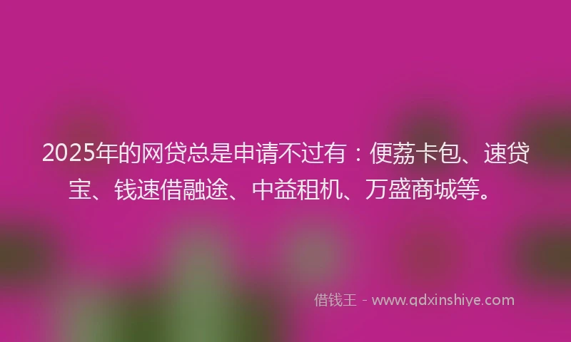2025年的网贷总是申请不过有：便荔卡包、速贷宝、钱速借融途、中益租机、万盛商城等。