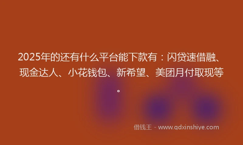 2025年的还有什么平台能下款有：闪贷速借融、现金达人、小花钱包、新希望、美团月付取现等。