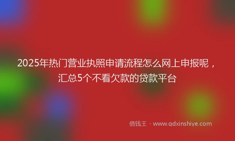 2025年热门营业执照申请流程怎么网上申报呢，汇总5个不看欠款的贷款平台