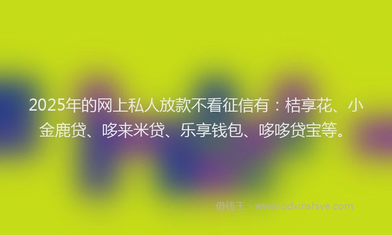 2025年的网上私人放款不看征信有：桔享花、小金鹿贷、哆来米贷、乐享钱包、哆哆贷宝等。