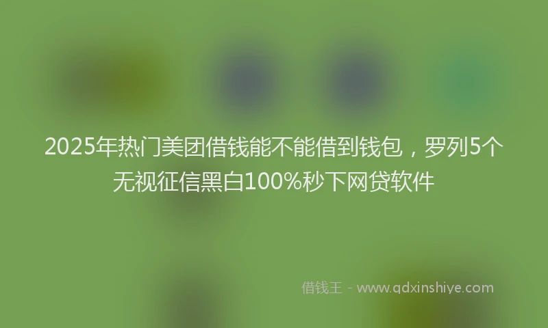 2025年热门美团借钱能不能借到钱包，罗列5个无视征信黑白100%秒下网贷软件