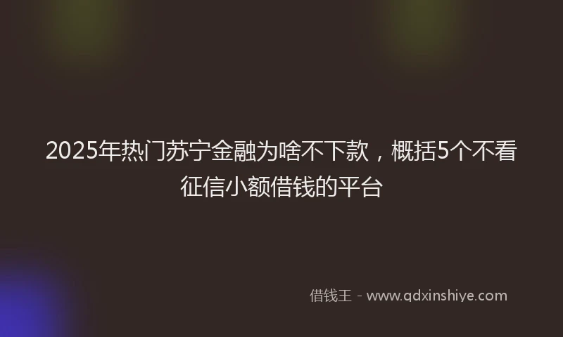 2025年热门苏宁金融为啥不下款，概括5个不看征信小额借钱的平台