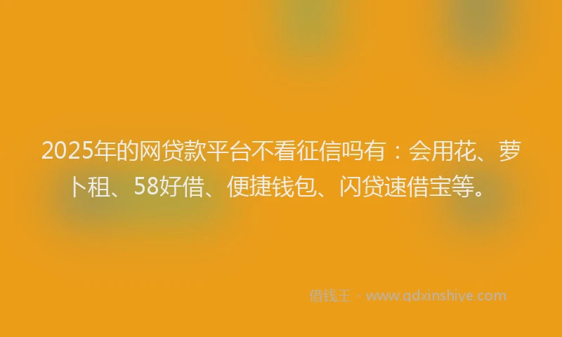 2025年的网贷款平台不看征信吗有：会用花、萝卜租、58好借、便捷钱包、闪贷速借宝等。