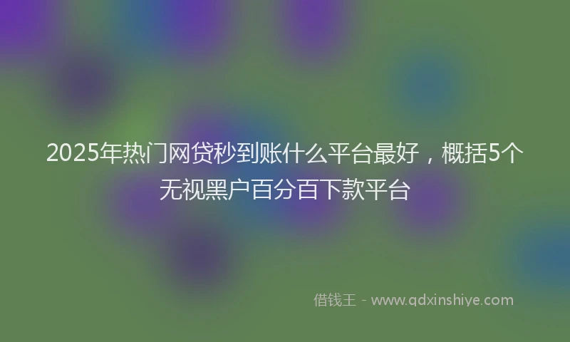 2025年热门网贷秒到账什么平台最好，概括5个无视黑户百分百下款平台