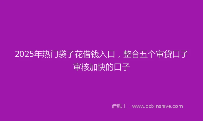 2025年热门袋子花借钱入口，整合五个审贷口子审核加快的口子