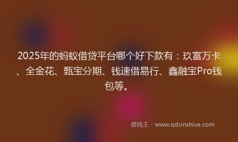 2025年的蚂蚁借贷平台哪个好下款有：玖富万卡、全金花、甄宝分期、钱速借易行、鑫融宝Pro钱包等。