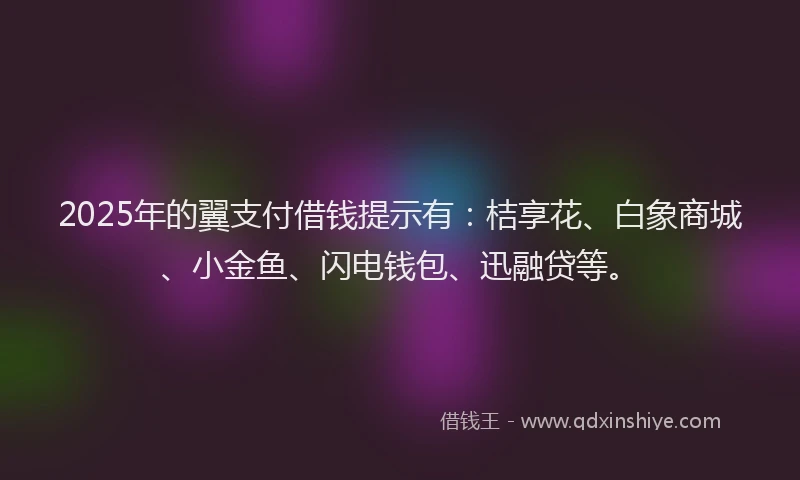 2025年的翼支付借钱提示有：桔享花、白象商城、小金鱼、闪电钱包、迅融贷等。