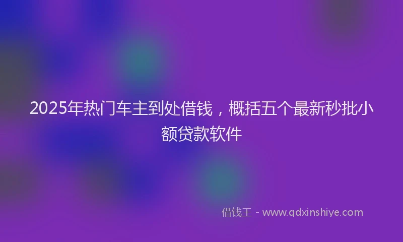 2025年热门车主到处借钱，概括五个最新秒批小额贷款软件