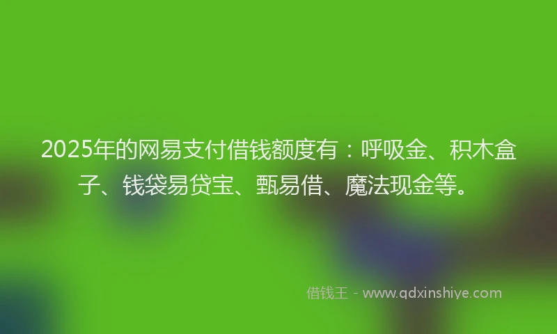 2025年的网易支付借钱额度有：呼吸金、积木盒子、钱袋易贷宝、甄易借、魔法现金等。