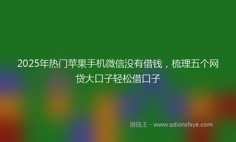 2025年热门苹果手机微信没有借钱，梳理五个网贷大口子轻松借口子