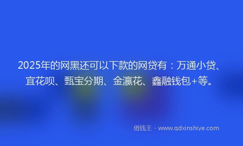 2025年的网黑还可以下款的网贷有：万通小贷、宜花呗、甄宝分期、金瀛花、鑫融钱包+等。