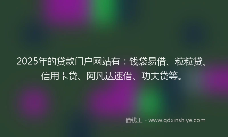 2025年的贷款门户网站有：钱袋易借、粒粒贷、信用卡贷、阿凡达速借、功夫贷等。