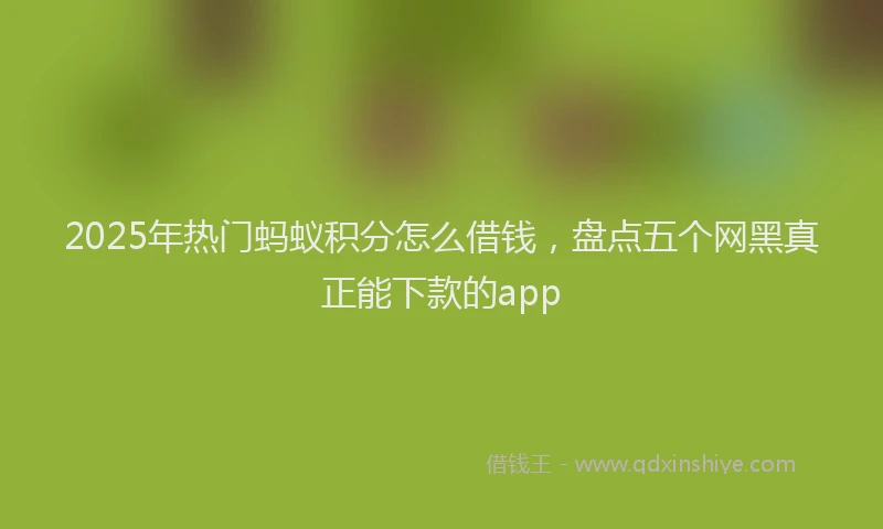 2025年热门蚂蚁积分怎么借钱，盘点五个网黑真正能下款的app