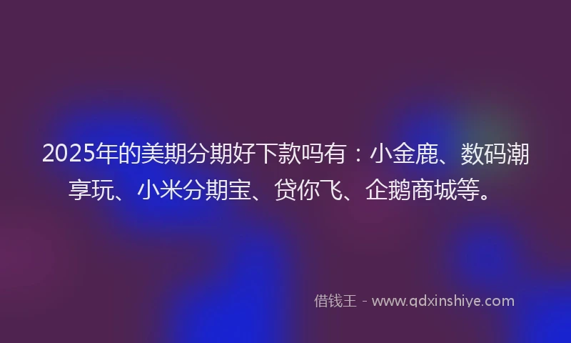 2025年的美期分期好下款吗有：小金鹿、数码潮享玩、小米分期宝、贷你飞、企鹅商城等。