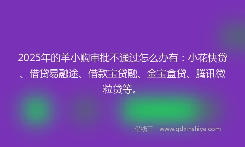 2025年的羊小购审批不通过怎么办有：小花快贷、借贷易融途、借款宝贷融、金宝盒贷、腾讯微粒贷等。