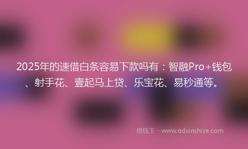 2025年的速借白条容易下款吗有：智融Pro+钱包、射手花、壹起马上贷、乐宝花、易秒通等。