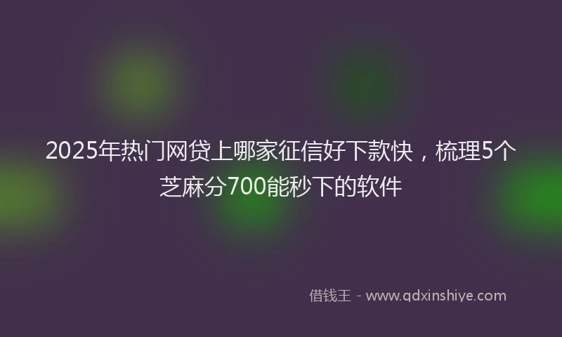2025年热门网贷上哪家征信好下款快，梳理5个芝麻分700能秒下的软件