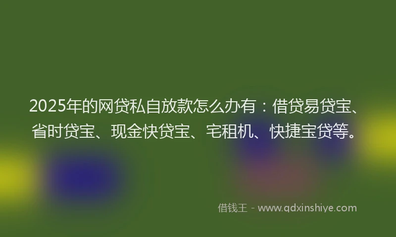 2025年的网贷私自放款怎么办有：借贷易贷宝、省时贷宝、现金快贷宝、宅租机、快捷宝贷等。