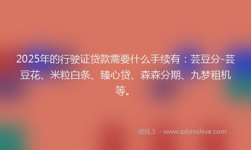 2025年的行驶证贷款需要什么手续有：芸豆分-芸豆花、米粒白条、臻心贷、森森分期、九梦租机等。