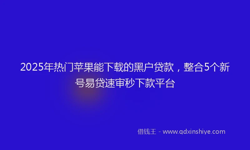 2025年热门苹果能下载的黑户贷款，整合5个新号易贷速审秒下款平台