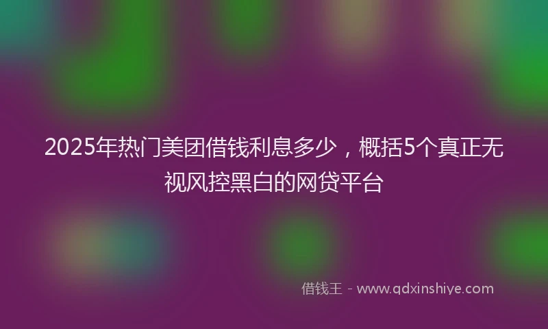 2025年热门美团借钱利息多少，概括5个真正无视风控黑白的网贷平台