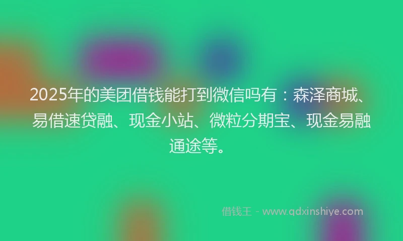 2025年的美团借钱能打到微信吗有：森泽商城、易借速贷融、现金小站、微粒分期宝、现金易融通途等。