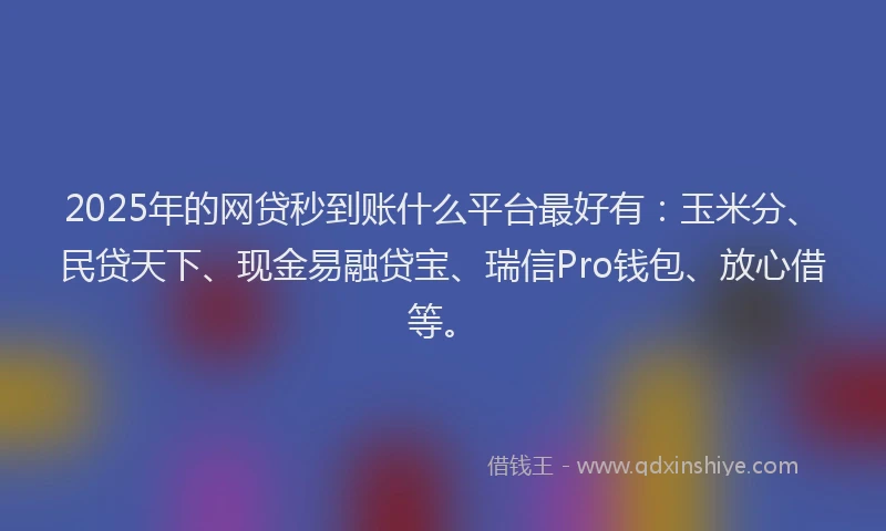 2025年的网贷秒到账什么平台最好有：玉米分、民贷天下、现金易融贷宝、瑞信Pro钱包、放心借等。