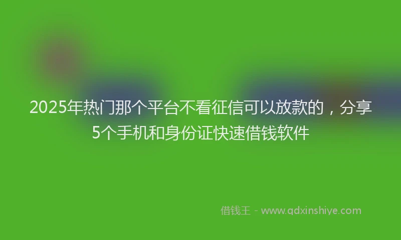 2025年热门那个平台不看征信可以放款的，分享5个手机和身份证快速借钱软件