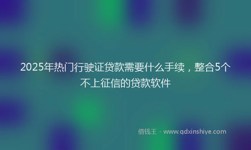 2025年热门行驶证贷款需要什么手续，整合5个不上征信的贷款软件